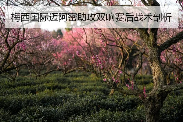 梅西国际迈阿密助攻双响赛后战术剖析